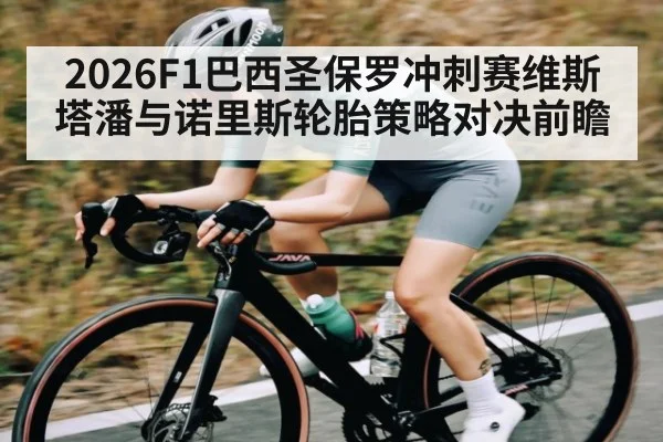 2026F1巴西圣保罗冲刺赛维斯塔潘与诺里斯轮胎策略对决前瞻 - CROWNSPORTS